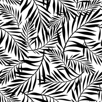 Vector black and white seamless pattern with palm leaves.