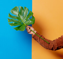 male hand holding monstera palm leaf on blue and yellow backgrounds