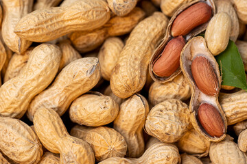 Fototapeta premium a lot of peanuts almost all closed and a few open and green leaf