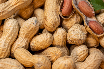 a lot of peanuts almost all closed and a few open and green leaf