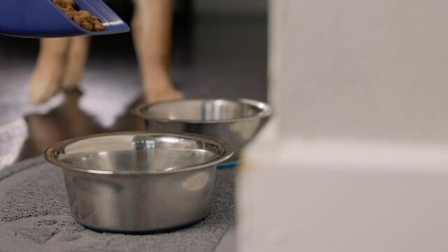Dog Food Scoop Pours Food in Dish and Dog Walks Over. view moves left on a food scoop pouring dog food in slow motion into a bowl with a puppy waiting patiently to eat
