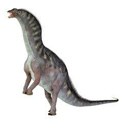 Amargasaurus cazaui Dinosaur - Amargasaurus was a sauropod herbivorous dinosaur that lived in Argentina during the Cretaceous Period. © Catmando