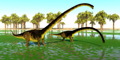 Fototapeta premium Omeisaurus Dinosaur Swamp - Two Omeisaurus dinosaurs eat water plants for the mineral content during the Jurassic Period of China.