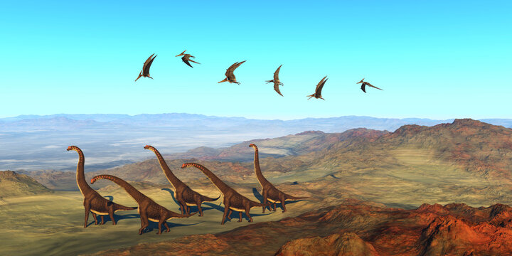 Giraffatitan Dinosaurs - A herd of Giraffatitan dinosaurs walk on their yearly migration over an African extinct volcano as a flock of Pteranodons fly over them.