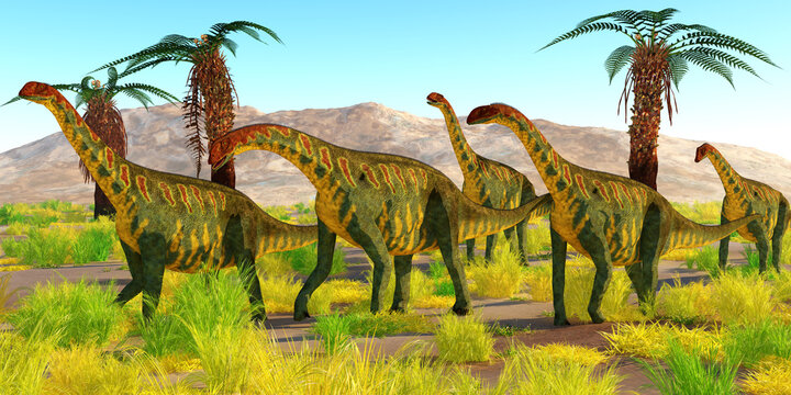 Jobaria Dinosaurs - A herd of Jobaria dinosaurs travel together in the Sahara desert, Africa during the Jurassic Period.