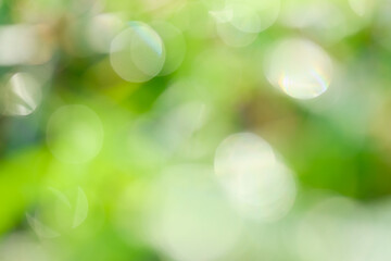 Green bokeh out of focus background from dew drop on leaf grass in nature