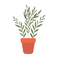 plant inside a pot with white background