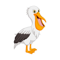 Cartoon funny pelican on white background