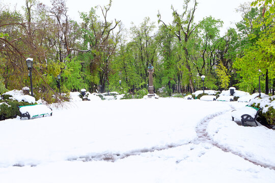 Winter landscape with a park after snowfall