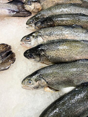 Fresh fish on the market. Overhead view of seafood in the ice