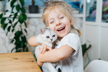 child playing with little cat. A little girl holds a white kitten. A little girl snuggles up to a cute pet and smiles while sitting in the living room of the house. Happy Children and pets.