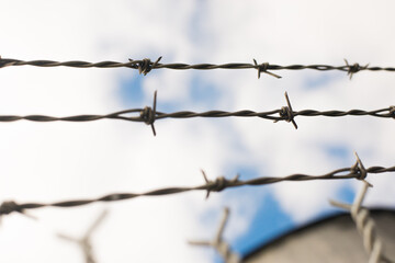 barbed wire fence