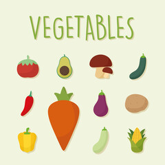 bundle of food vegetables icons on a green background
