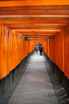 후시미이나리신사,쿄토,kyoto,japn,Fushimi Inari Shrine