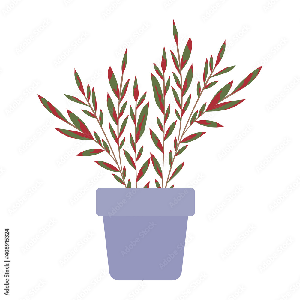 Canvas Prints plant inside a pot with green and red leaves