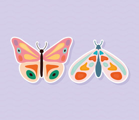 two butterflies hand drawn style on purple background