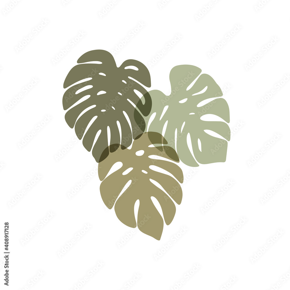 Wall mural monstera deliciosa leaves hand drawn vector illustration. tropical leaf plant illustration isolated 