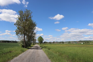 Feldweg in Franken Felder im Frühling Teerweg Straße Bauern