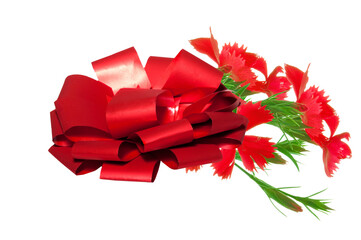 Valentine's Day, Beautiful red ribbon with bow and red carnations (Diánthus) on white isolated background close up