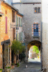 Fototapeta na wymiar View in the little medieval town of Cordes sur Ciel, France