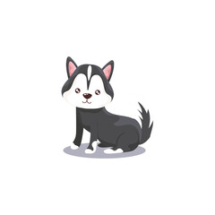 pet, siberian dog animal domestic white background