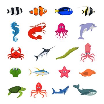 Sea animals collection colorful vector illustration isolated on white background