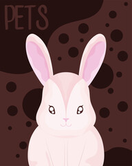 cute little rabbit animal pet dotted background