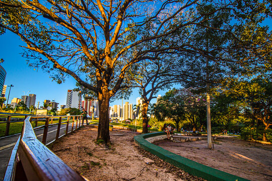 Parque Urbano do Coc&oacute;  - cidade de Fortaleza-  Cear&aacute;