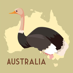 australian ostrich map animal wildlife