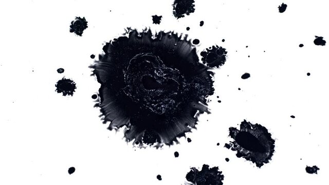 Abstract Ink Drops Spread on Wet Paper
