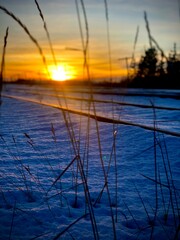 sunset tracks