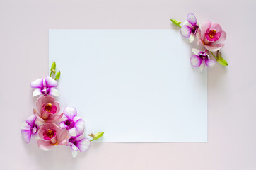 Naklejka na ściany i meble Empty white paper for text with orchids flower of two coner on pastel pink background.