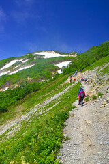 Fototapeta na wymiar 初夏の八方尾根登山道を歩く登山者 