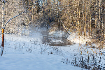 Obraz premium River and Brown branches covered with white fluffy snow are in winter day in the forest