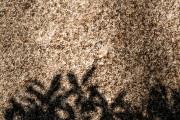 Old rough texture cement floor with shadow of tree.
