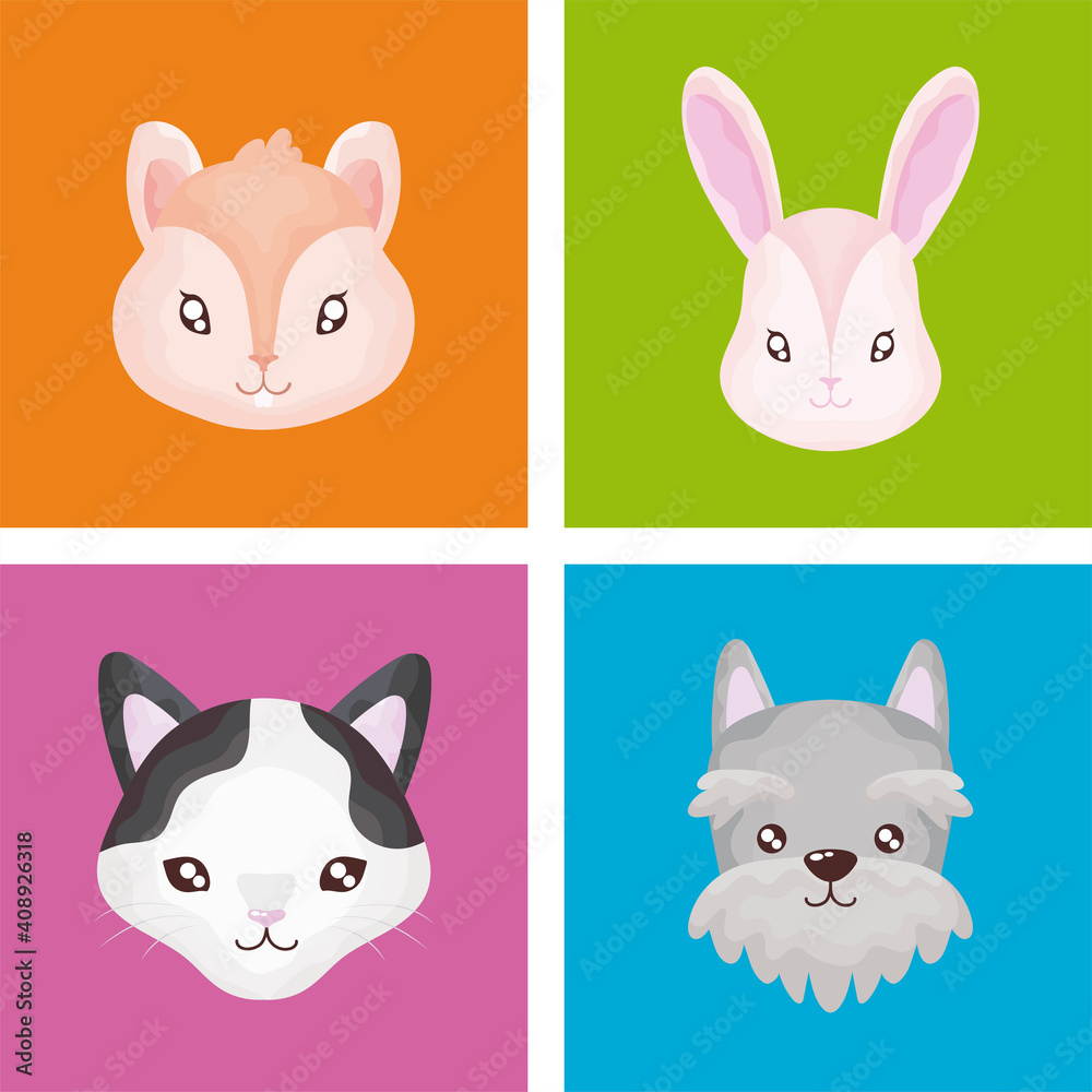 Wall mural pet set icons, cat dog rabbit hamster color background