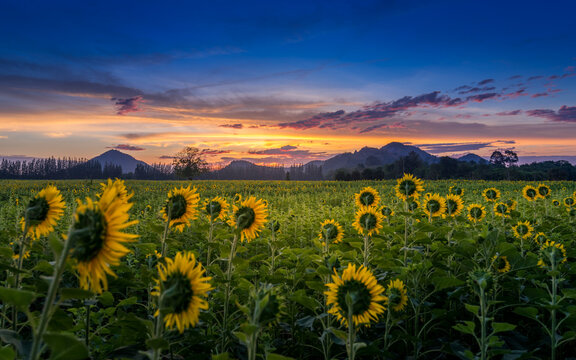 500px Photo ID: 92607693