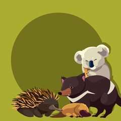 koala hedgehog platypus tasmanian devil australian animal wildlife © djvstock