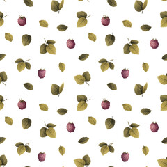 raspberry plant, branch in leaves and berries, seamless pattern, drawing - 408929313
