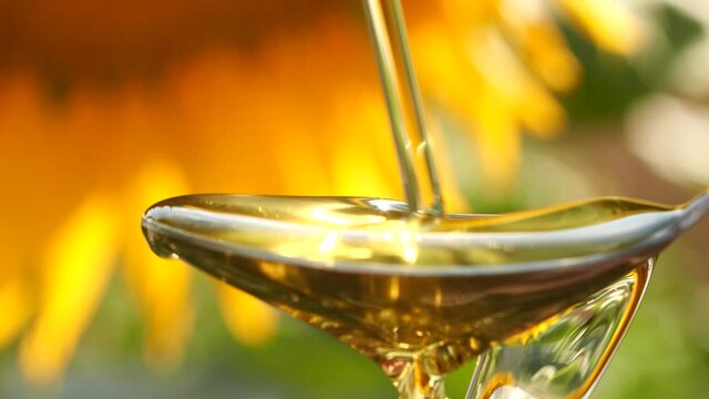 Slow motion pouring sunflower oil into spoon on yellow sun flower, liquid splash