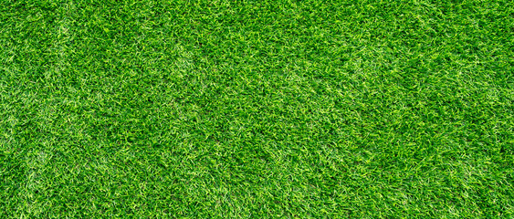 Plakat Artificial grass field meadow green. Top View Texture. 