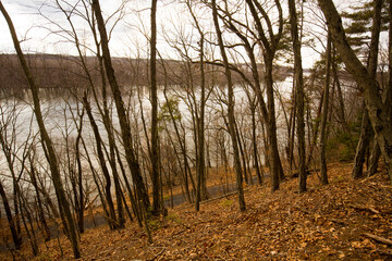 Glacial moraine of Balf Bluff in Glastonbury, Connecticut.