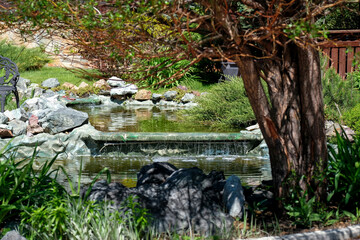 Willow and many other plants in the artificial reservoir in summer. Landscape