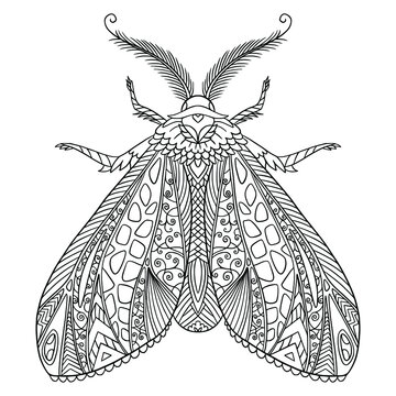 Tropical butterfly with doodle and zentangle elements. Vector spring illustration for coloring book page for adult.
