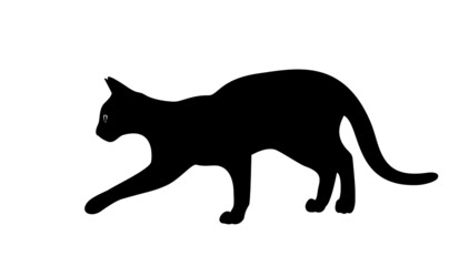 Beautiful graceful black cat goes soft footsteps. Vector isolated silhouette on white background. The symbol of Halloween. Can be used as a sticker template, logo element, icon for web design.
