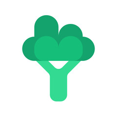 Vegetable Icon. Broccoli Icon.