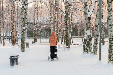 view from the back of a woman with a stroller in a winter birch grove