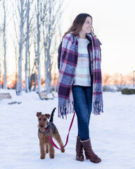 Woman in the snow with a welsh terrier dog