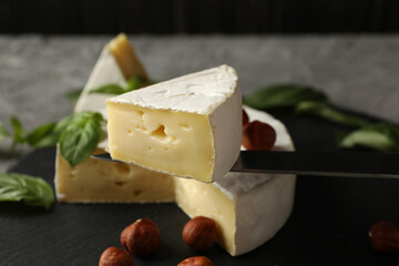 Tray and knife with camembert, close up