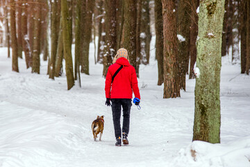 Fototapeta na wymiar A guy with a dog walking in a winter park